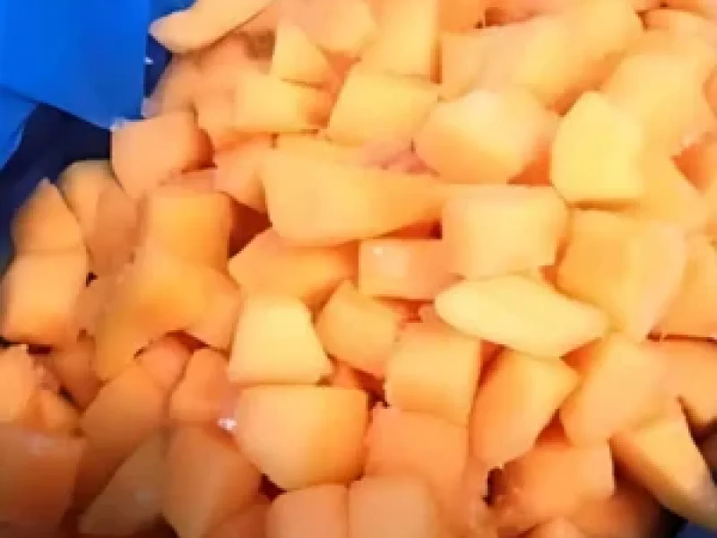 Musk melon cut